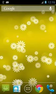 Daisy Flower android App screenshot 1